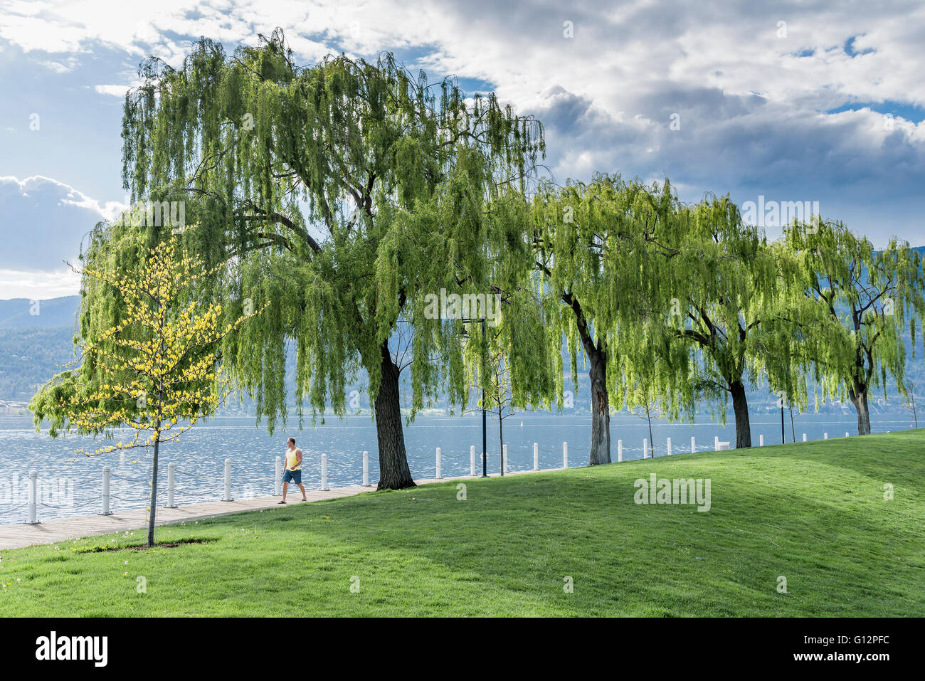 Kelowna, Okanagan Valley, British Columbia, Kanada Stockfoto