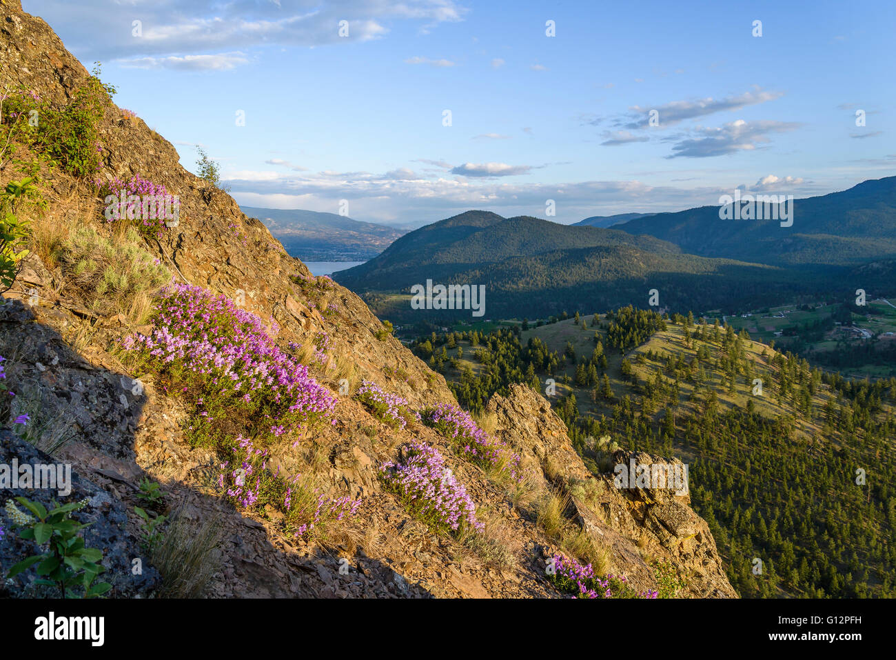 Riesen Kopf Bergpark, Summerland, Okanagan Valley, British Columbia, Kanada Stockfoto