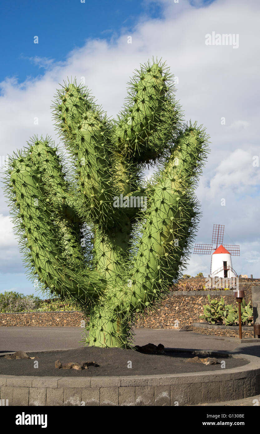 Riesige grne Kaktus Skulptur auerhalb Jardin de Cactus von Guatiza Csar  Manrique entworfen. Lanzarote, Kanarische Inseln, Spanien Stockfotografie -  Alamy