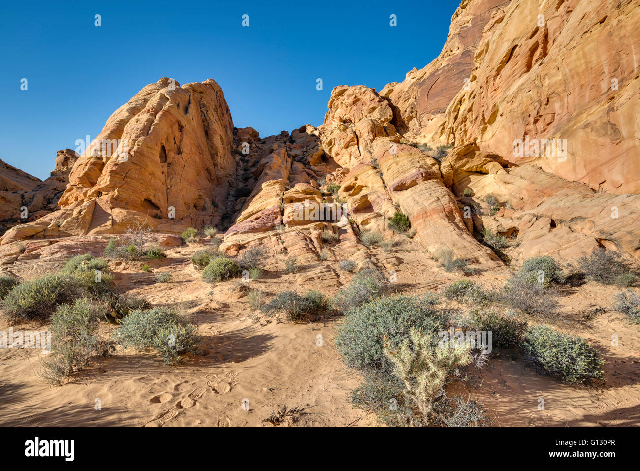 Felsformationen, Wüstenlandschaft. Valley of Fire State Park, Nevada. Stockfoto