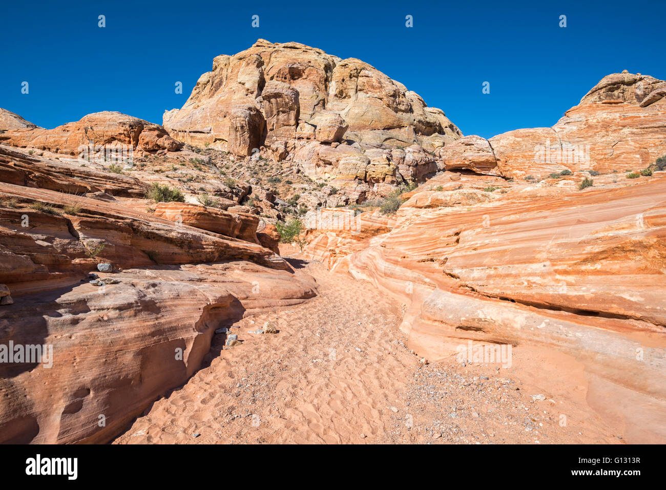 Felsformationen, Wüstenlandschaft. Weißen Kuppeln Trail, Valley of Fire State Park, Nevada. Stockfoto