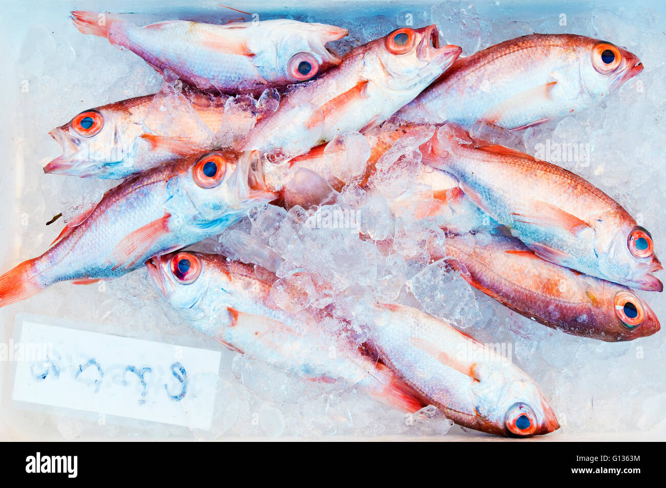 Frisch Fisch japanische Nodoguro auf Verkauf in Wajima Morgenmarkt, Hanto Halbinsel Noto, Japan Stockfoto