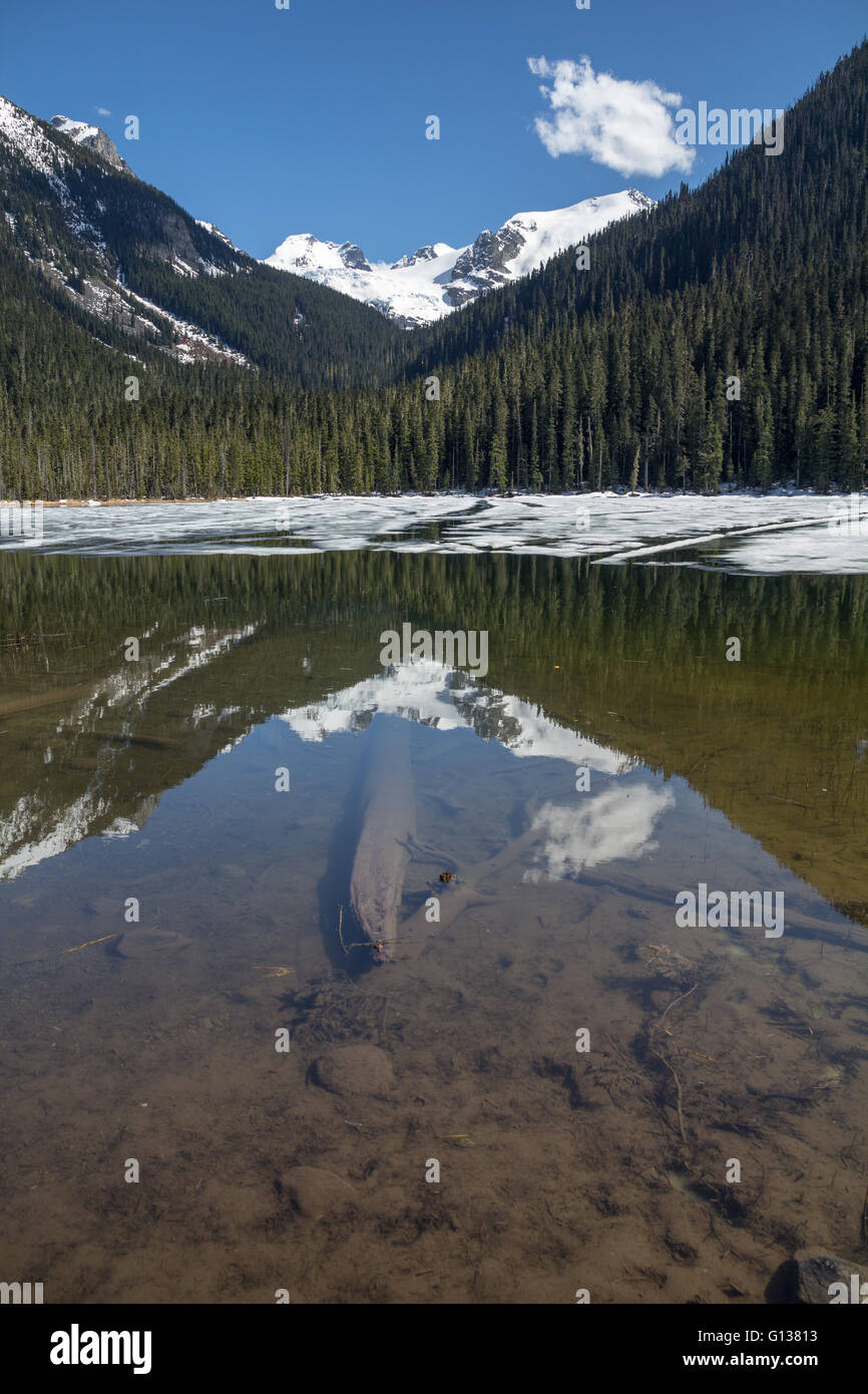 Schmelzender Schnee und Eis am Untersee Joffre aufzudecken Reflexionen auf Bäume, Berge und Gletscher Stockfoto