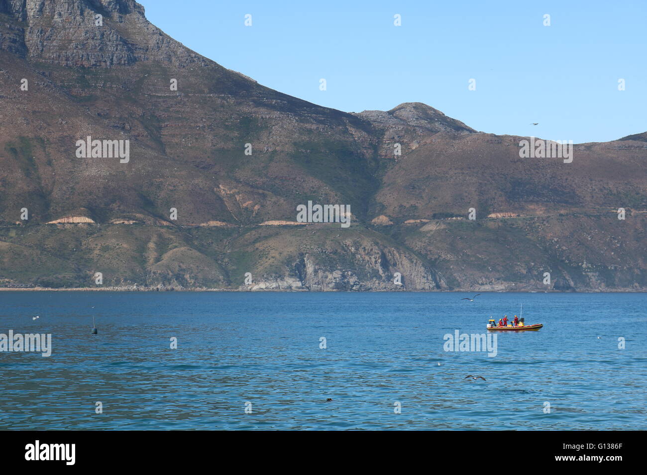 Hout Bay, Kapstadt, Südafrika Stockfoto