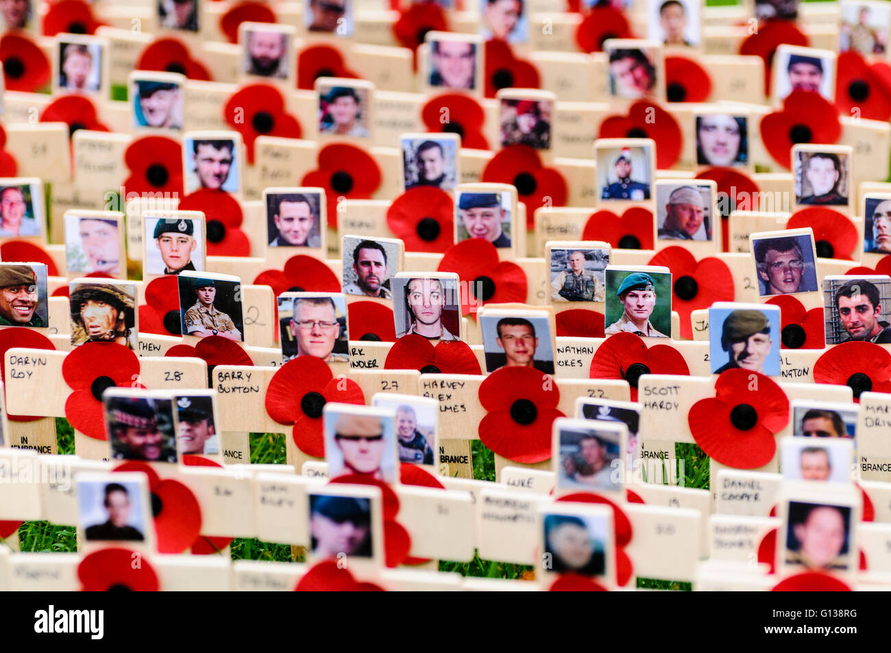 Holzkreuze mit Mohn und Fotos zur Erinnerung an die Soldatinnen und Soldaten in der Tätigkeit getötet. Stockfoto