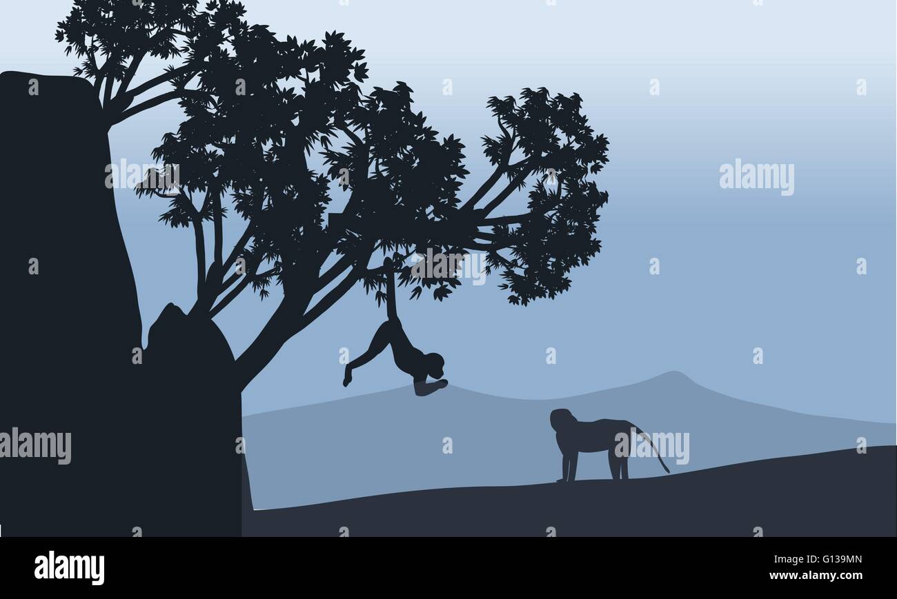 Silhouette der Affe in Bereichen Stock Vektor