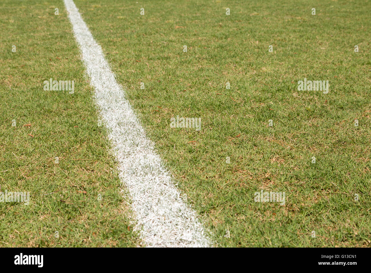 Baseball-Feldspieler-Linie Stockfoto