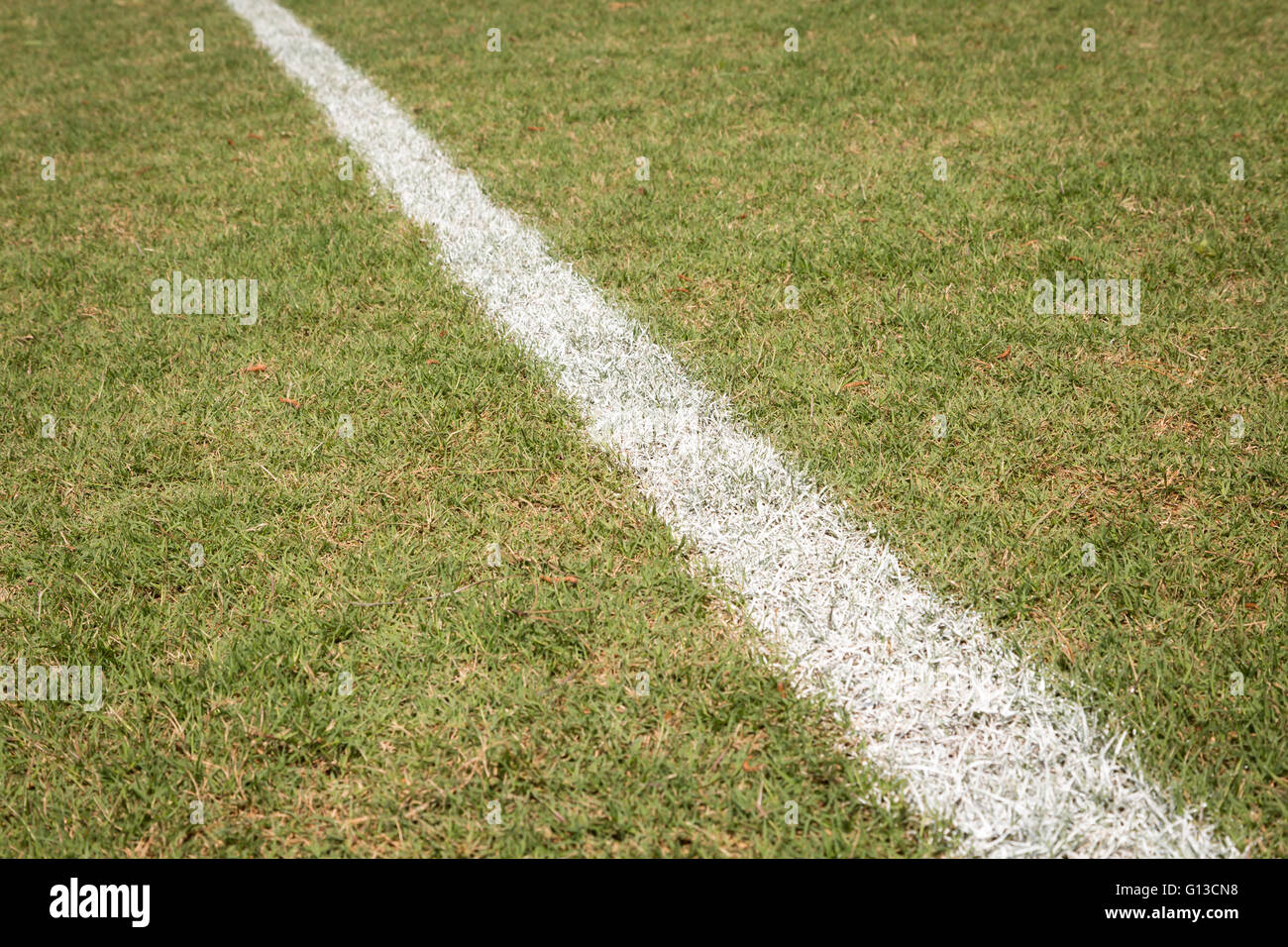 Baseball-Feldspieler-Linie Stockfoto