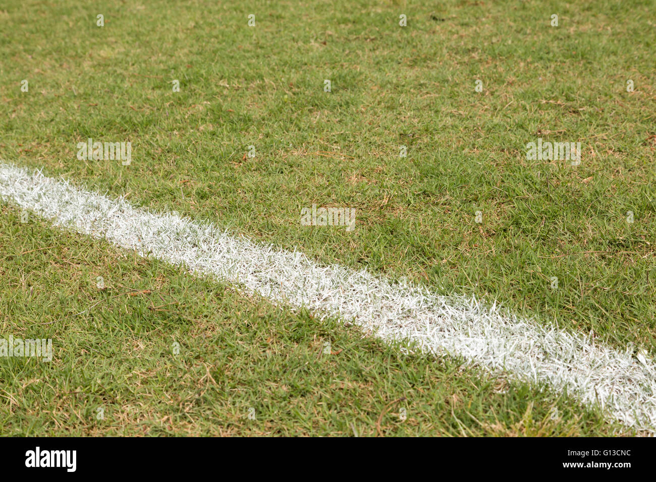 Baseball-Feldspieler-Linie Stockfoto