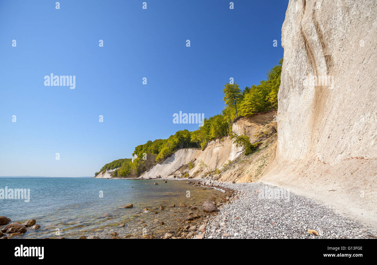 Strand und Kreide Klippen auf der Insel Rügen, Nationalpark Jasmund, Mecklenburg Vorpommern Region in Deutschland. Stockfoto