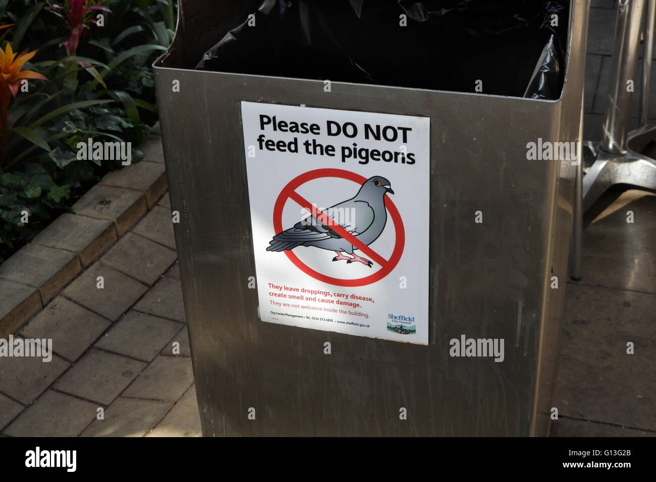 Bitte nicht Füttern der Tauben auf einem Abfallbehälter, Wintergarten Sheffield Stockfoto
