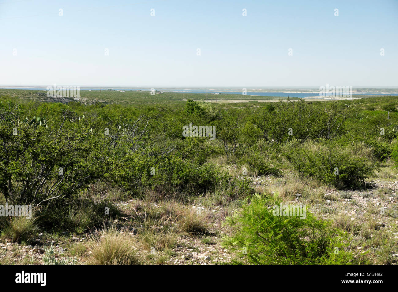 Lake Amistad in der Nähe von Del Rio, Texas. Auf dem Wüstenboden im Vordergrund stehen Mesquite, Cenizo, Purple Sage und Kaktusfeigen. Stockfoto