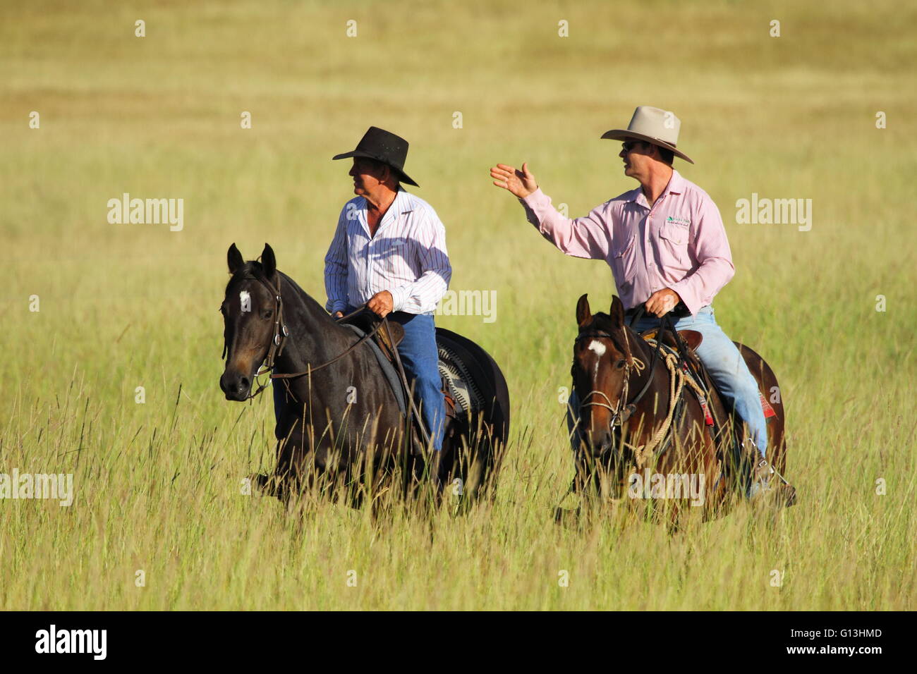Zwei Männer mittleren Alters in Cowboy-Hüte Reitpferde in einem Paddock, Feld, als ein weist in eine Richtung Weide. QLD, Australien Stockfoto