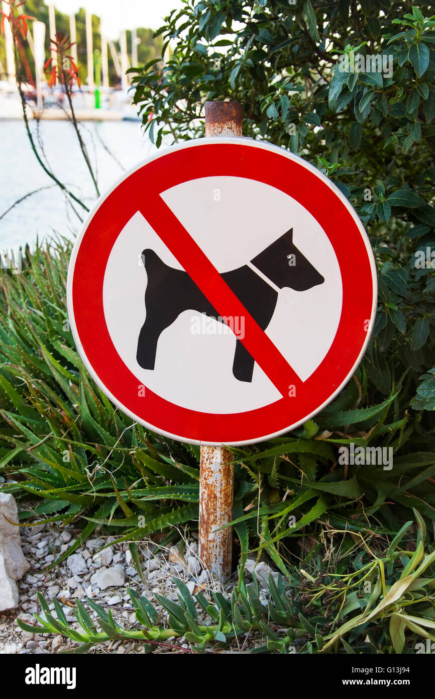 Zeichen für verbotene Weitergabe der Hunde Stockfoto