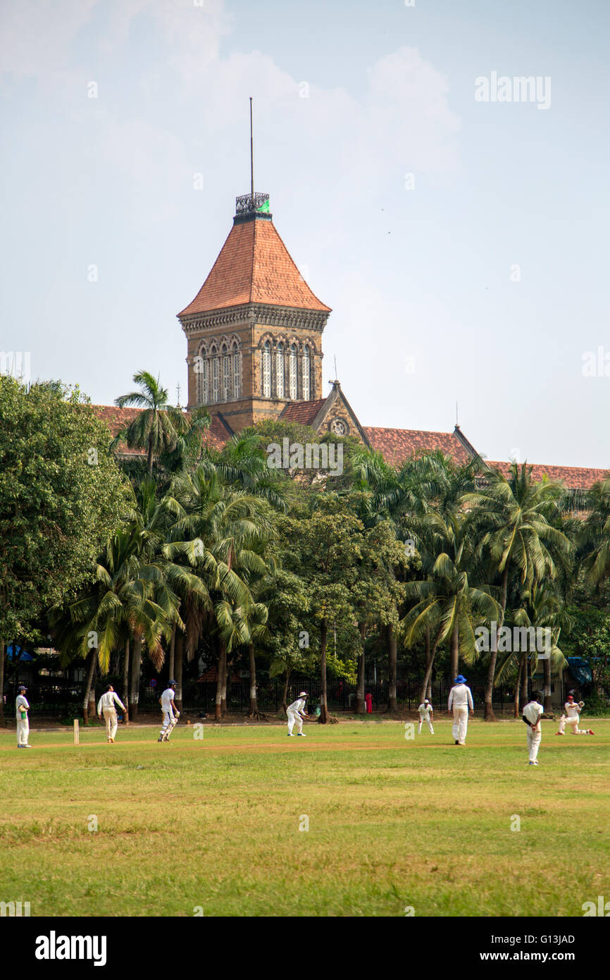 MUMBAI, Indien - 10. Oktober 2015: Menschen spielen Cricket im Central Park in Mumbai, Indien. Kricket ist der populärste sport Stockfoto