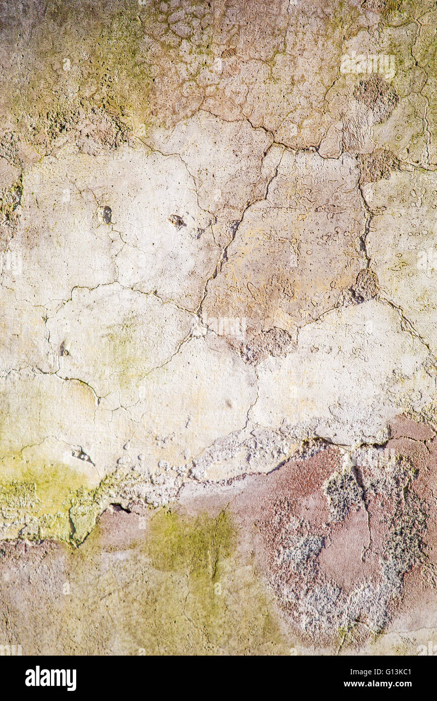 Nahaufnahme von einem Grunge geknackt Steinmauer. Kann als Hintergrund oder Textur verwendet werden. Vertikales Bild. Stockfoto