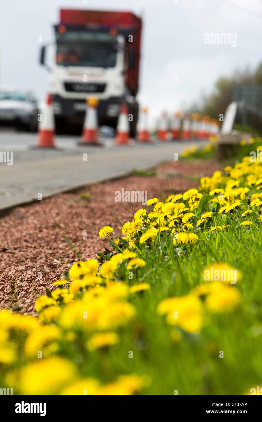 Wurf-Kommissionierung Straßenrand Stockfoto