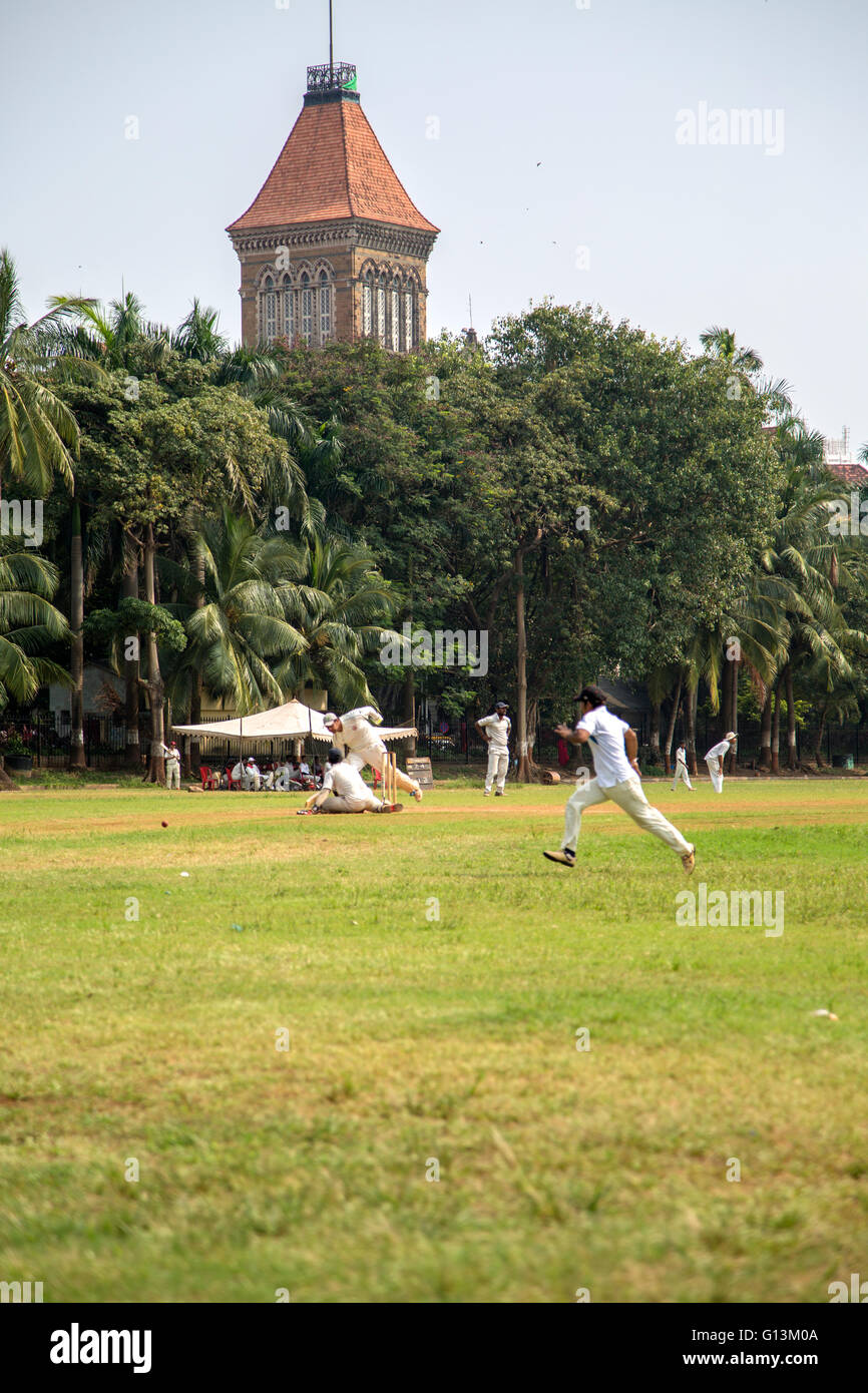 MUMBAI, Indien - 10. Oktober 2015: Menschen spielen Cricket im Central Park in Mumbai, Indien. Kricket ist der populärste sport Stockfoto