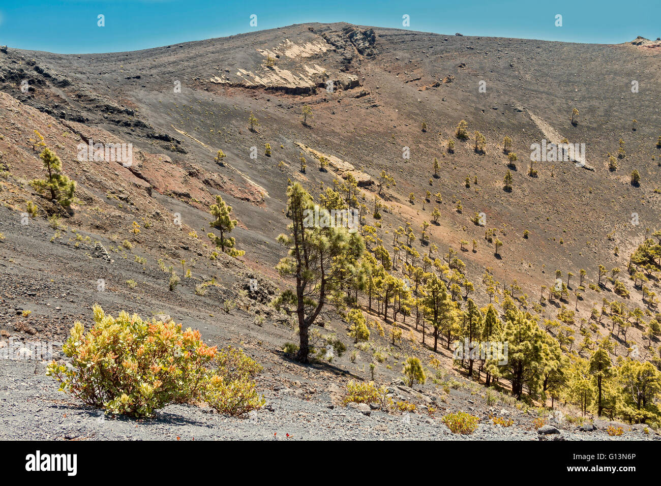 Rand eines Kraters Fuencaliente La Palma Spanien Stockfoto
