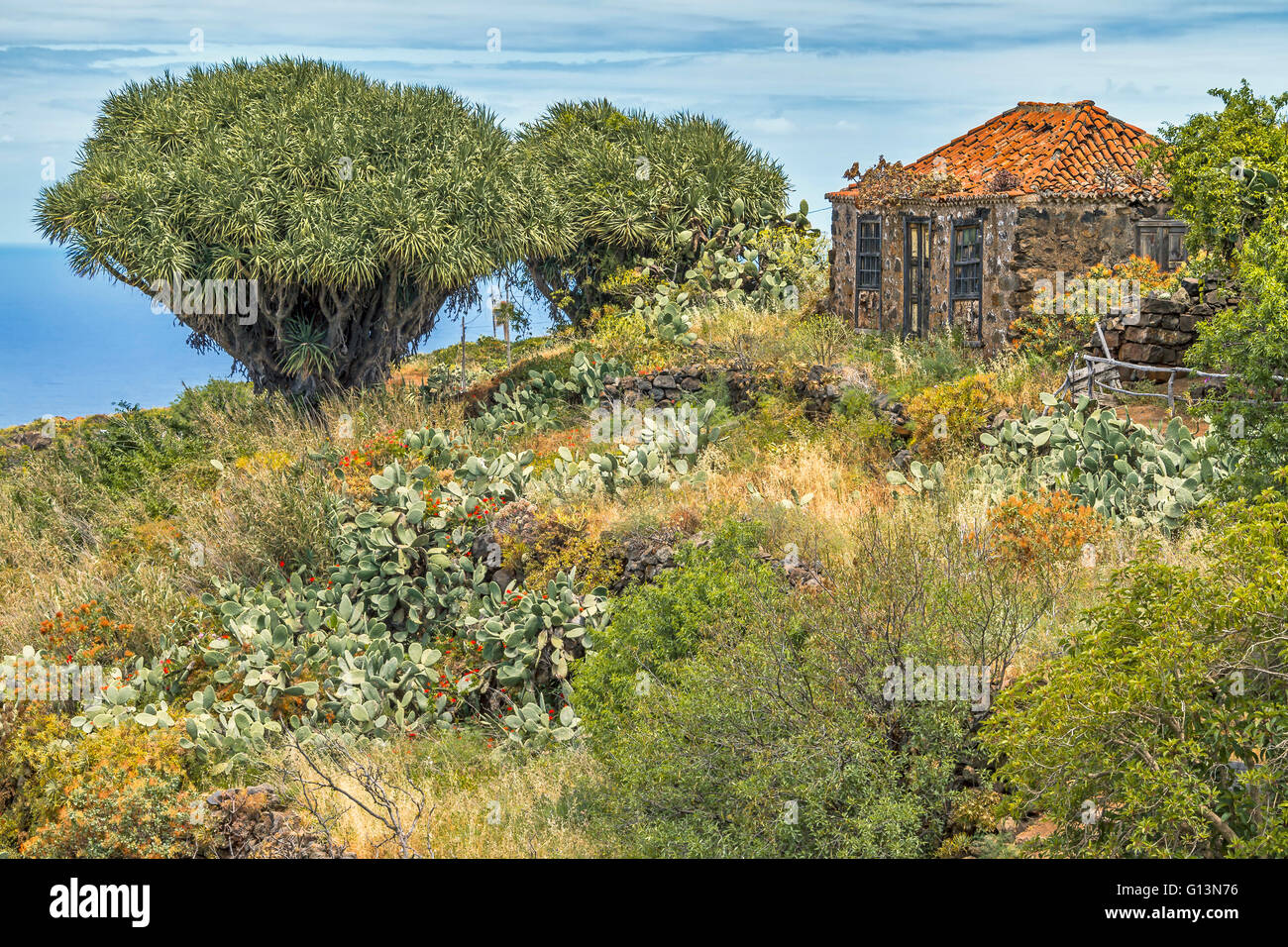 Verlassene Gebäude Santo Domingo La Palma Spanien Stockfoto