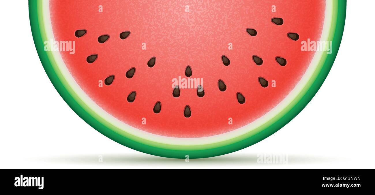 Wassermelone Stück Vektorgrafik. Isoliert auf weißem Hintergrund Stock Vektor