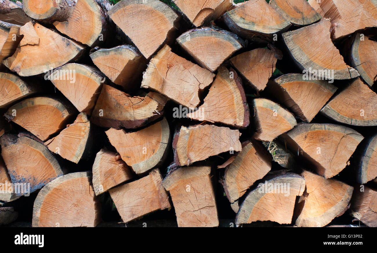 Schneiden Sie die Stücke der Kiefer. Textur-Nahaufnahme Stockfoto