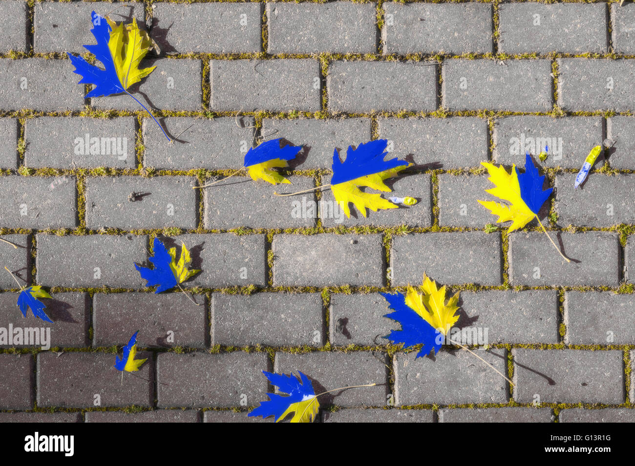 treten Sie auf diesen Blättern nicht Stockfoto