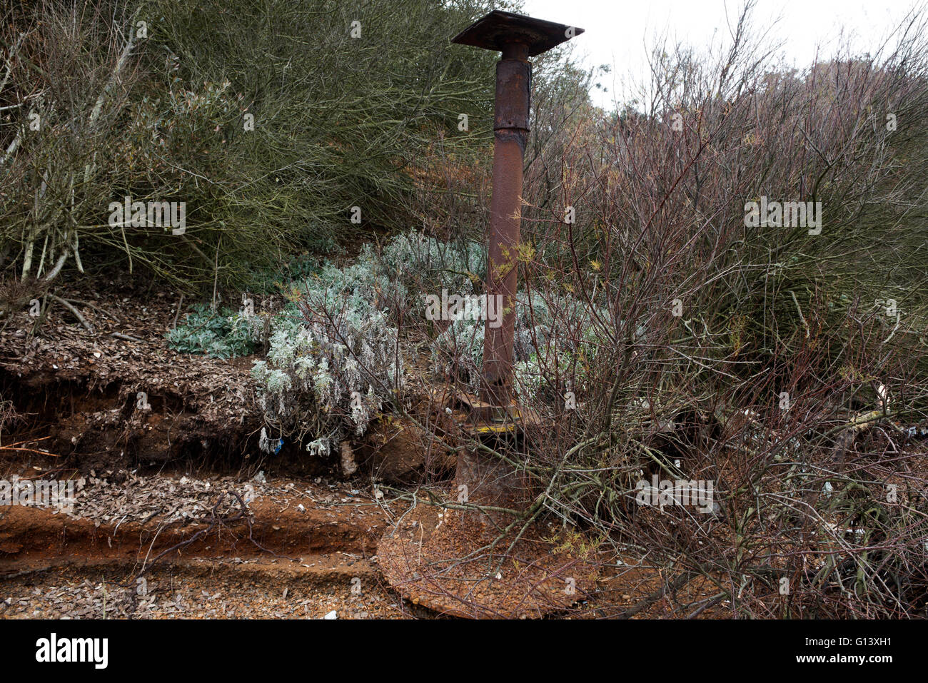 Auswirkungen der Küstenerosion, Bawdsey Fähre, Suffolk, UK. Stockfoto