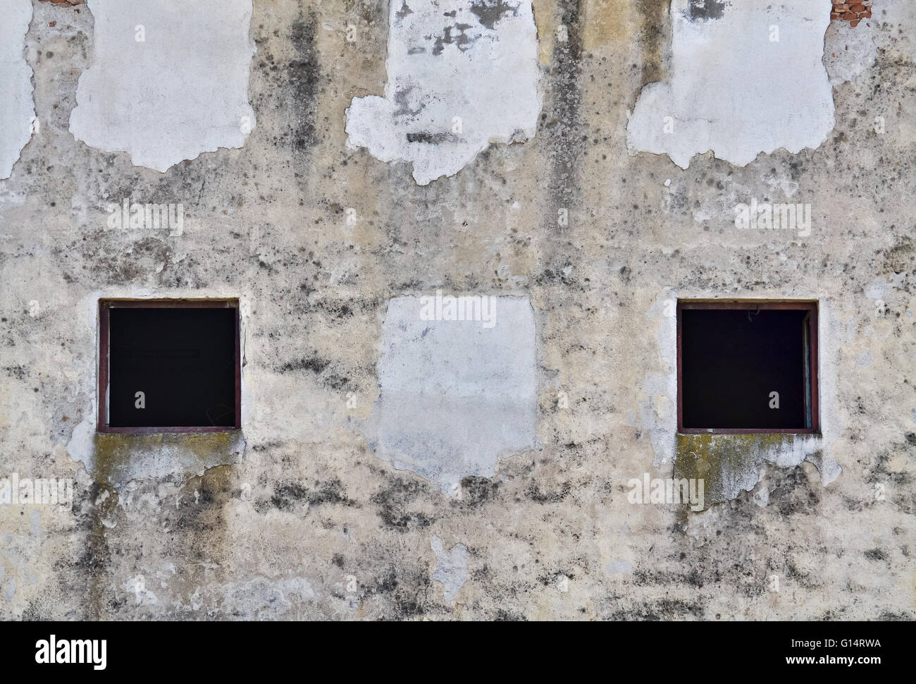 Zwei schreckliche kleine Fenster und Schimmel an der feuchten Wand Stockfoto