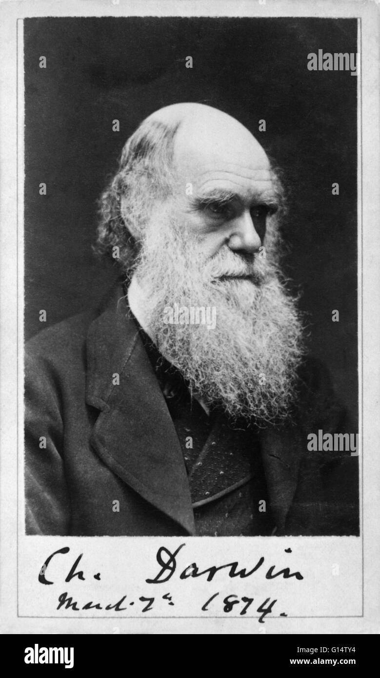 Charles Robert Darwin (1809-1882) war ein englischer Naturforscher. Er gründete, dass alle Arten von Leben im Laufe der Zeit von gemeinsamen Vorfahren abstammen, und die wissenschaftliche Theorie, dass diese Verzweigung Muster der Evolution aus einem Prozess, daß er geführt Stockfoto