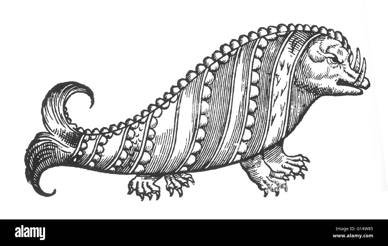 Holzschnitt eines "marine Ebers" aus Des Monstres et Prodiges von Ambroise Paré, 1573. Des Monstres ist gefüllt mit unbegründeten Konten der Sea Devils, marine Sauen und monströse Tiere mit menschlichen Gesichtern. Mit seinen umfangreichen Diskussion über Reproduktion und krank Stockfoto