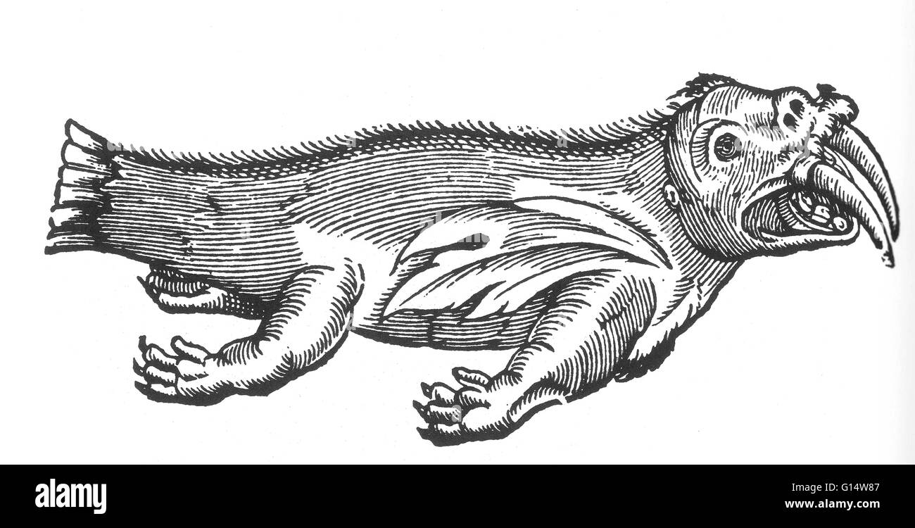 Holzschnitt von "Sea Elephant" von Des Monstres et Prodiges von Ambroise Paré, 1573. Des Monstres ist gefüllt mit unbegründeten Konten der Sea Devils, marine Sauen und monströse Tiere mit menschlichen Gesichtern. Mit seinen ausführlichen Diskussion der Reproduktion und illu Stockfoto