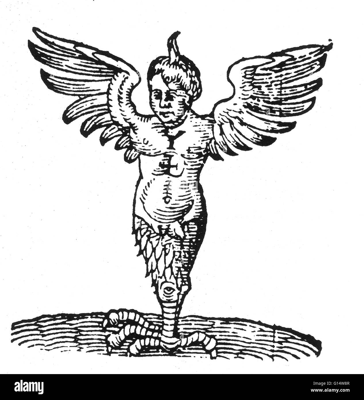 Holzschnitt des "Ravenna Monsters" von Des Monstres et Prodiges von Ambroise Paré, 1573. Des Monstres ist gefüllt mit unbegründeten Konten der Sea Devils, marine Sauen und monströse Tiere mit menschlichen Gesichtern. Mit seinen ausführlichen Diskussion der Reproduktion einer Stockfoto