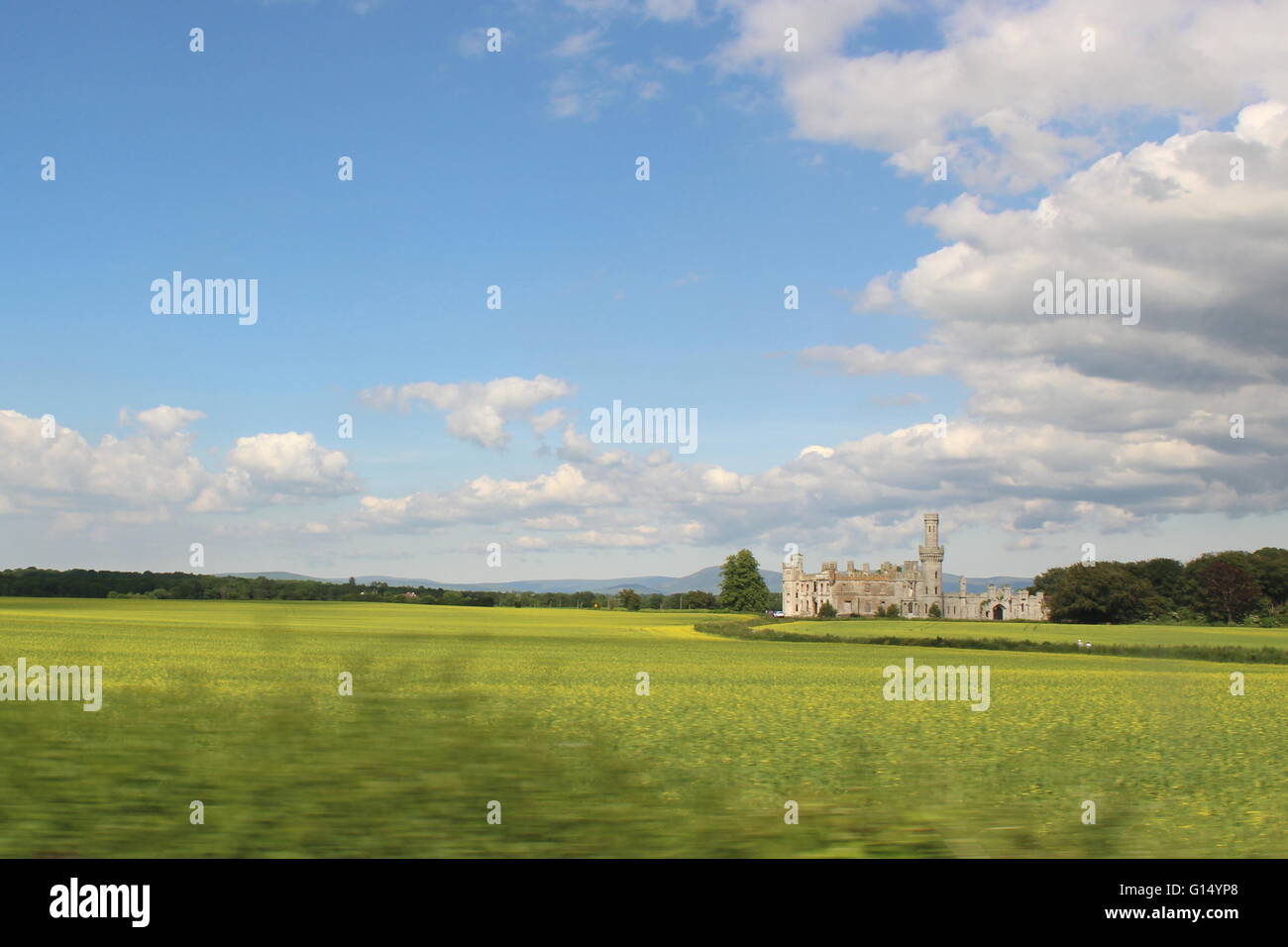 Duckett Grove House, ein 19. Jahrhundert große Hausruine und ehemaligen Gutshof in County Carlow, Irland. Stockfoto