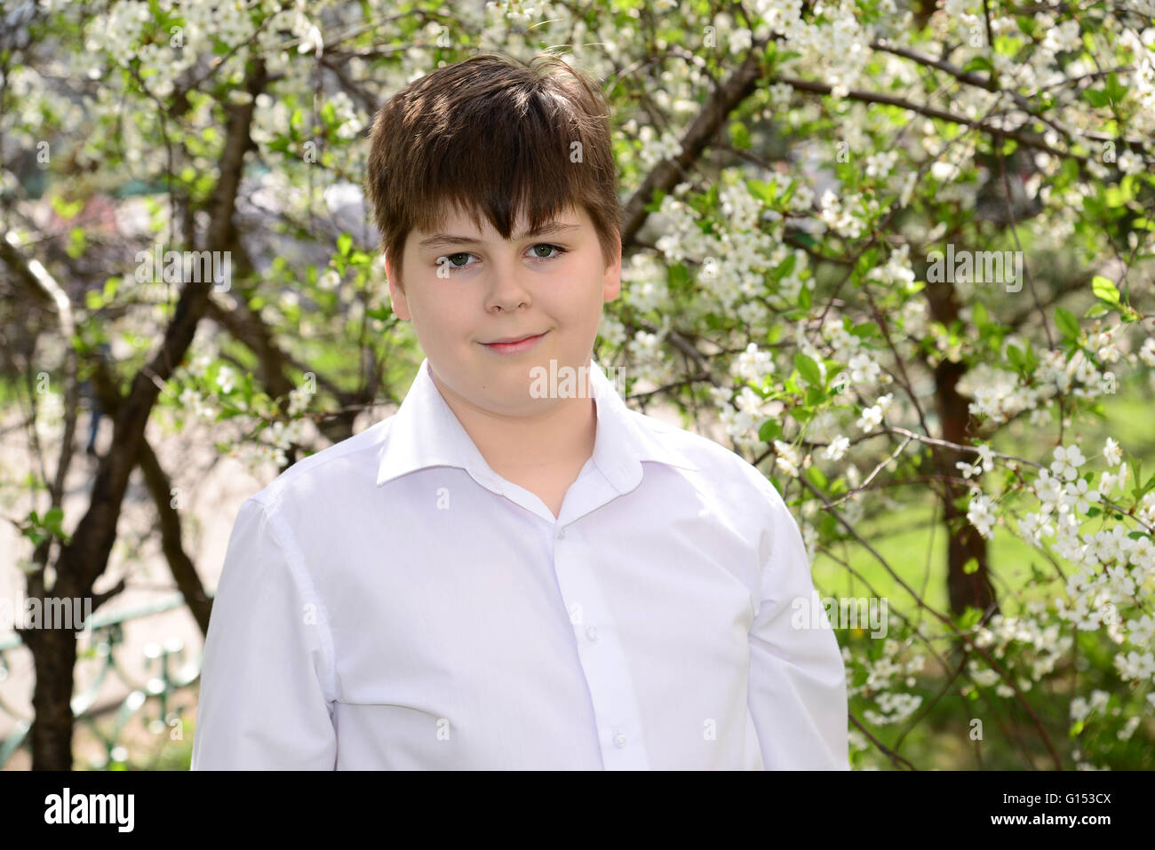 Porträt eines jungen Teenagers auf einem Hintergrund von blühende Kirschen Stockfoto