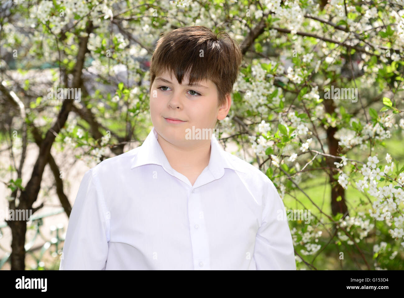 Porträt eines jungen Teenagers auf einem Hintergrund von blühende Kirschen Stockfoto