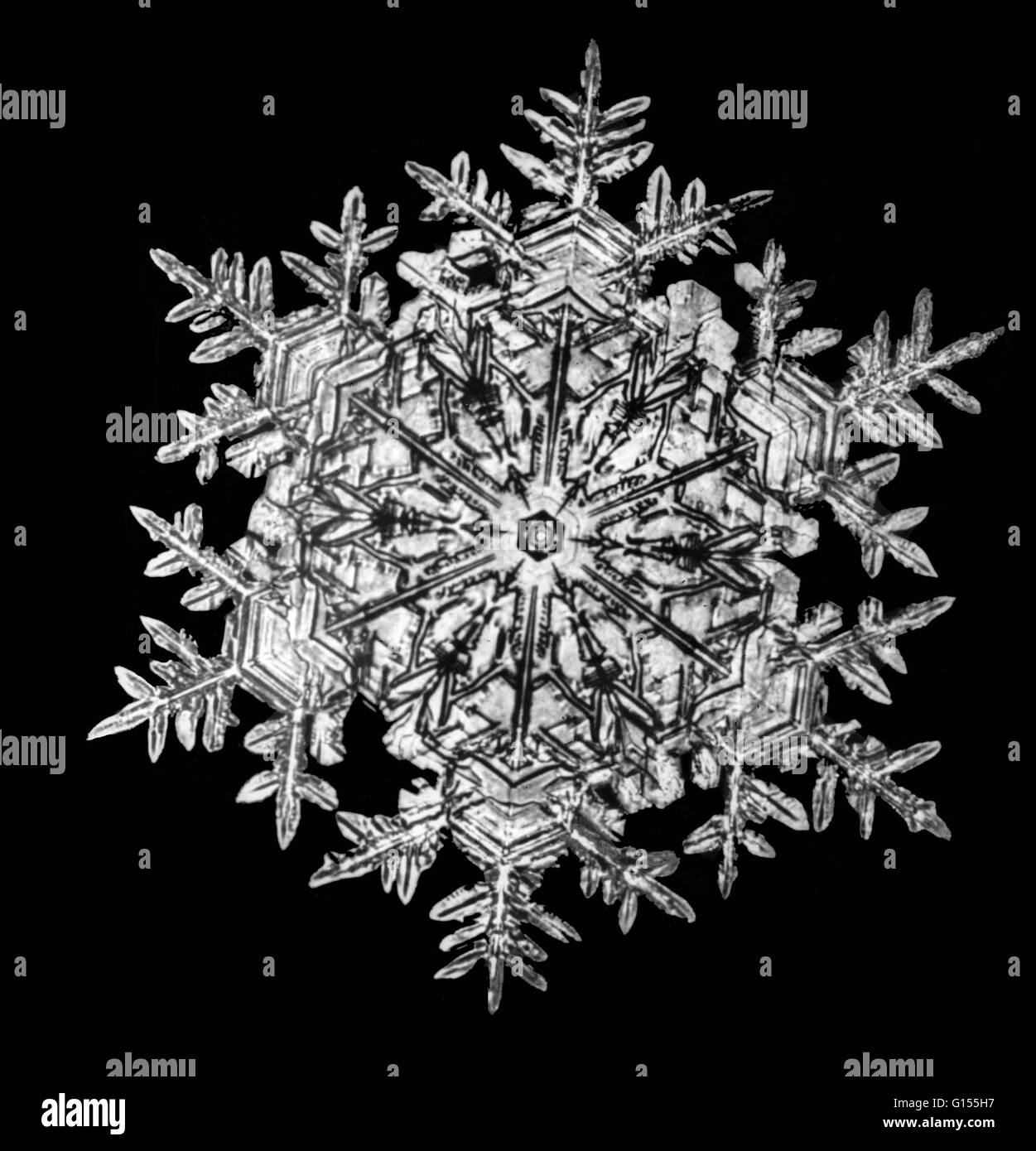 Eine Schneeflocke (positiv), fotografiert von Wilson A. Bentley (1865-1931) auf einer Glasplatte, war wahrscheinlich die erste Person, dies zu tun. Er verwendet eine Box-Kamera, hatte er ein Mikroskop angeschlossen und erfasst die Schneeflocken auf schwarzem Samt und fotografiert Stockfoto