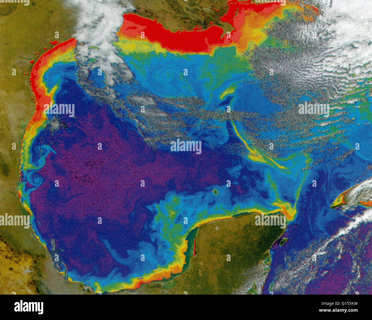 Trübe, reich an Plankton Teil des Golfs von Mexiko wird auf diesem Satellitenbild SeaWiFS (Meer-Viewing Wide Field-of-View Sensor) rot angezeigt. Eine Vielzahl von Phytoplankton ernähren sich von Nährstoffen durch Flüsse durchgeführt. Wenn sie sterben, Zersetzung von dieser orga Stockfoto