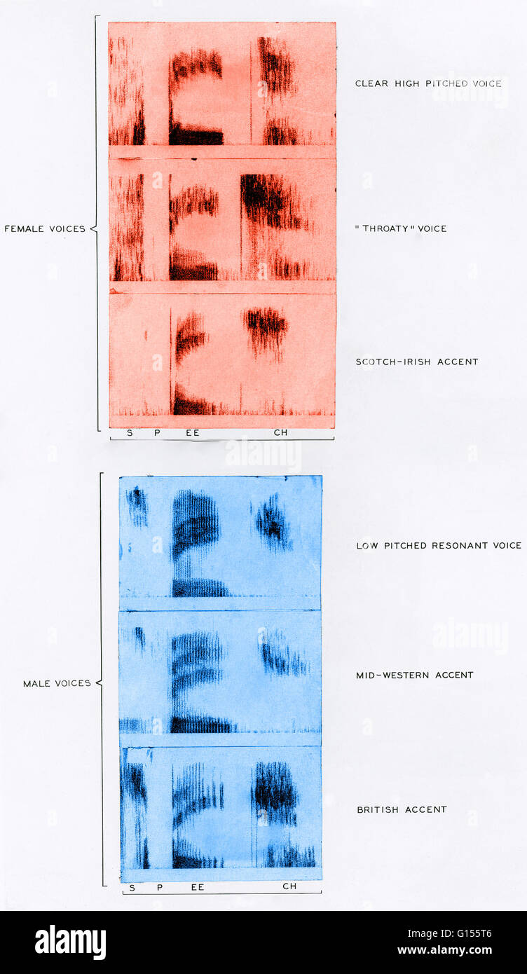 farbe verbesserte spektrogramme der mnnlichen und weiblichen rede muster mit dem wort rede oben sind weibliche stimme typen und akzente von oben nach - Hochzeitsrede Muster farbe verbesserte spektrogramme der mnnlichen und weiblichen rede muster mit dem wort rede oben sind weibliche stimme typen und akzente von oben nach - Hochzeitsrede Muster