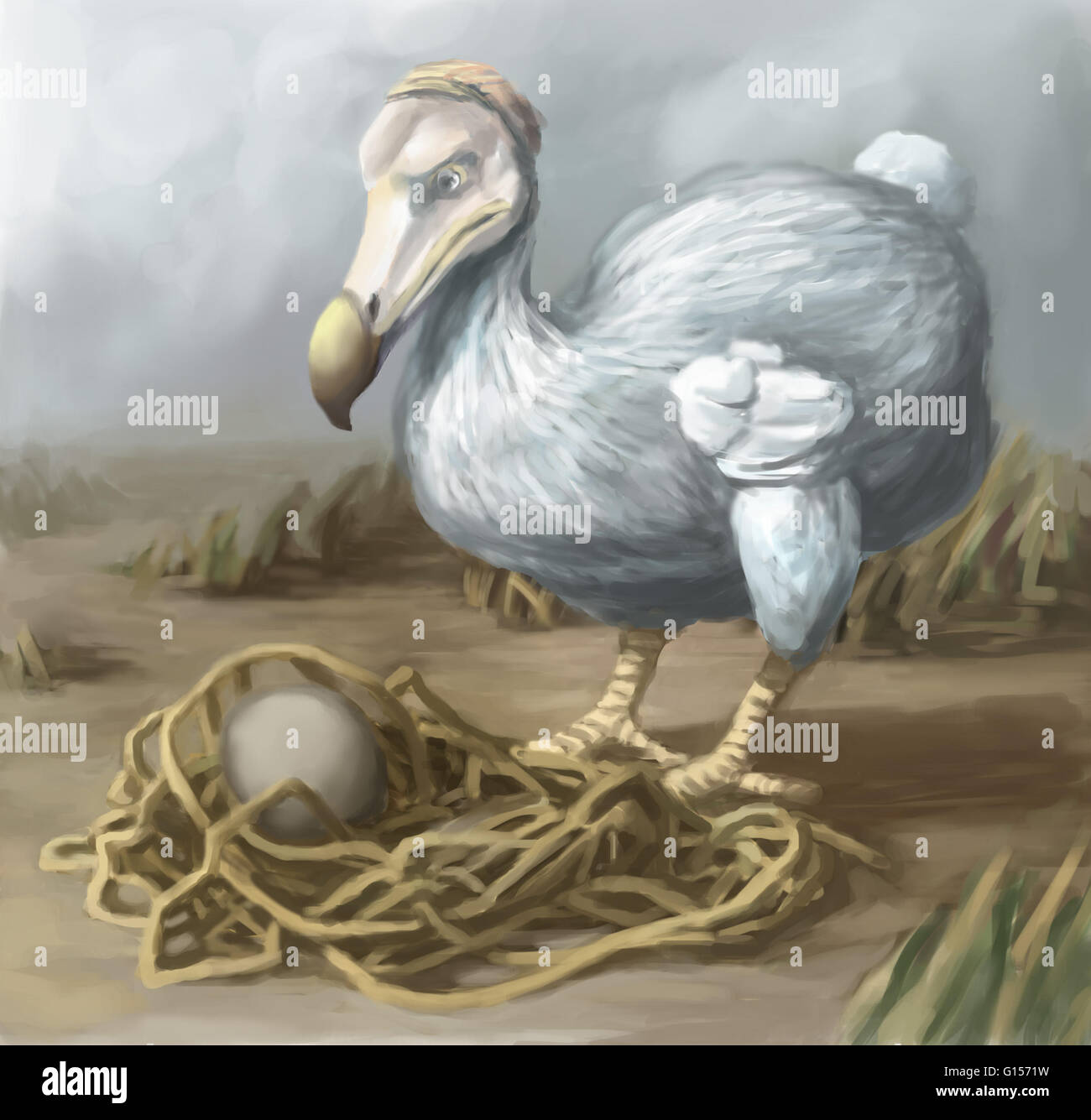 Dodo illustration Fotos und Bildmaterial in