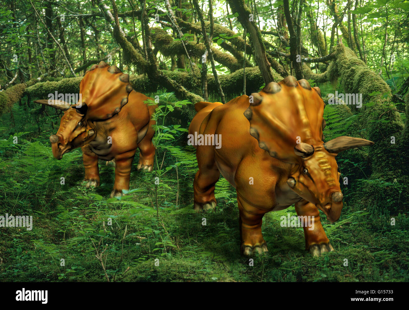 Illustration eines Triceratops (Triceratops Horridus). Stockfoto