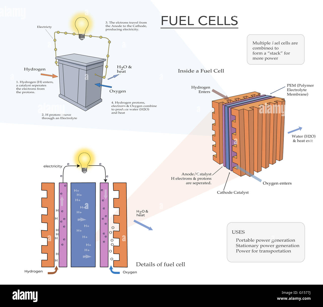 Abbildung zeigt, wie eine Brennstoffzelle die chemische Energie aus einem Brennstoff in elektrischen Strom umwandelt. Dies geschieht in der Regel durch eine chemische Reaktion mit Sauerstoff oder einem anderen Oxidationsmittel. Dieser Prozess kann für tragbare Stromerzeugung, stationäre p verwendet werden Stockfoto