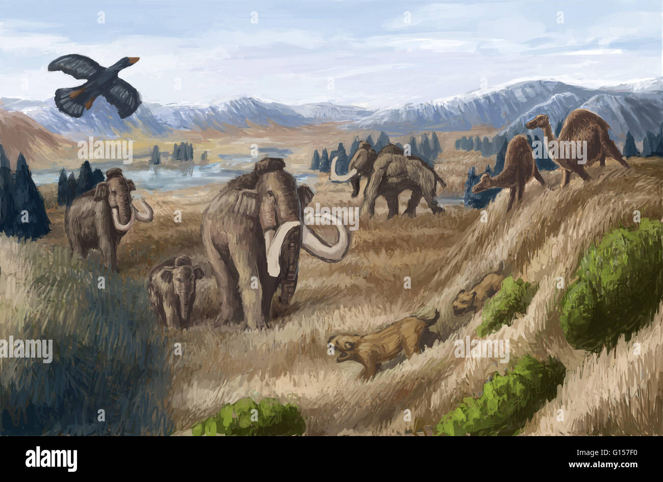 Künstlerische Darstellung einer tertiären Periode Landschaft. Dieser Zeit erstreckte sich von 65 bis vor etwa 2 Millionen Jahren und gliedert sich in fünf Epochen: Paläozäns, Eozän, Oligozän, Miozän und Pliozän. Die Dinosaurier ausgestorben früh im Tertiär und Säugetiere Stockfoto