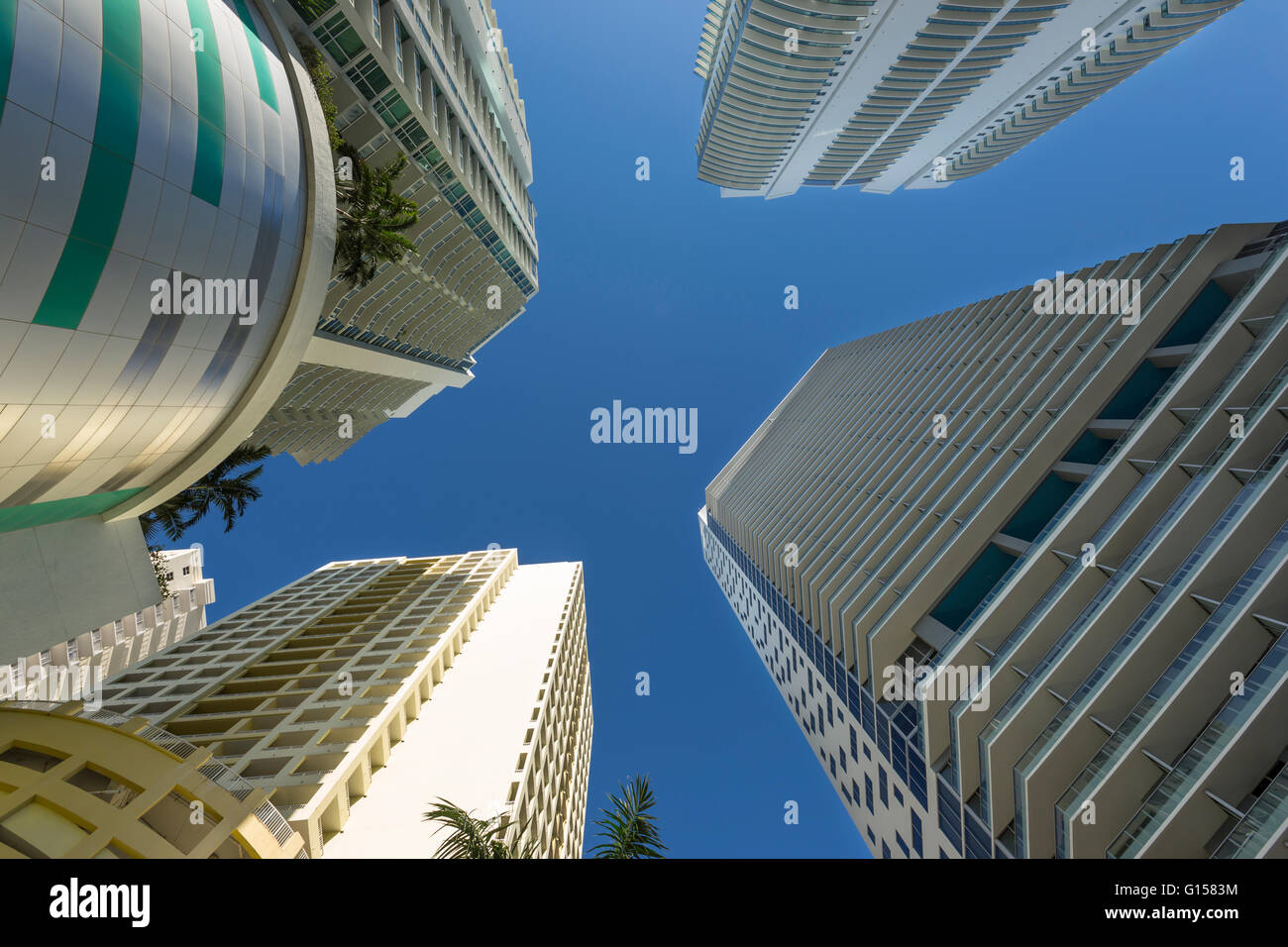 LUXUS HOCHHAUS WOLKENKRATZER DOWNTOWN MIAMI FLORIDA USA Stockfoto