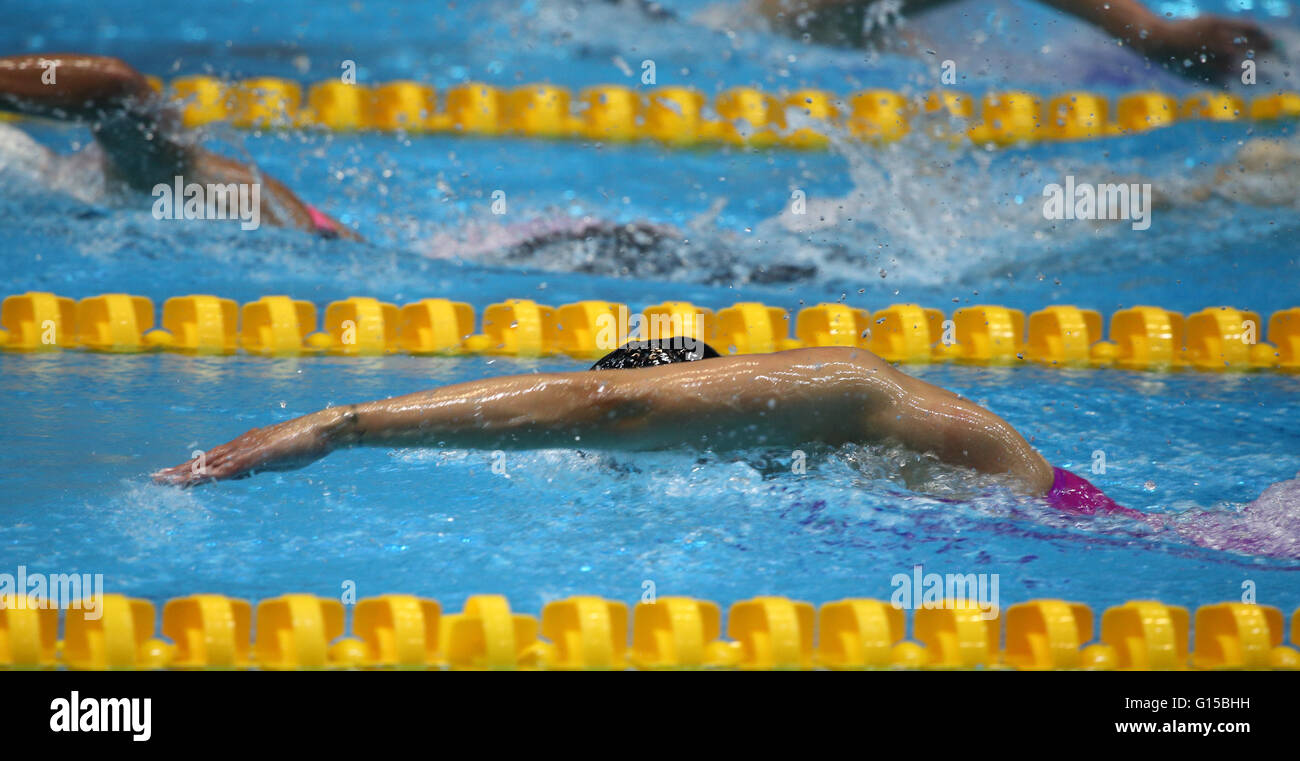 Deutsche Meisterschaft im Schwimmen, Deutsche Meisterschaften Im Schwimmen und Olympia-Qualifikation Studien in Berlin, Mai 2016 Stockfoto