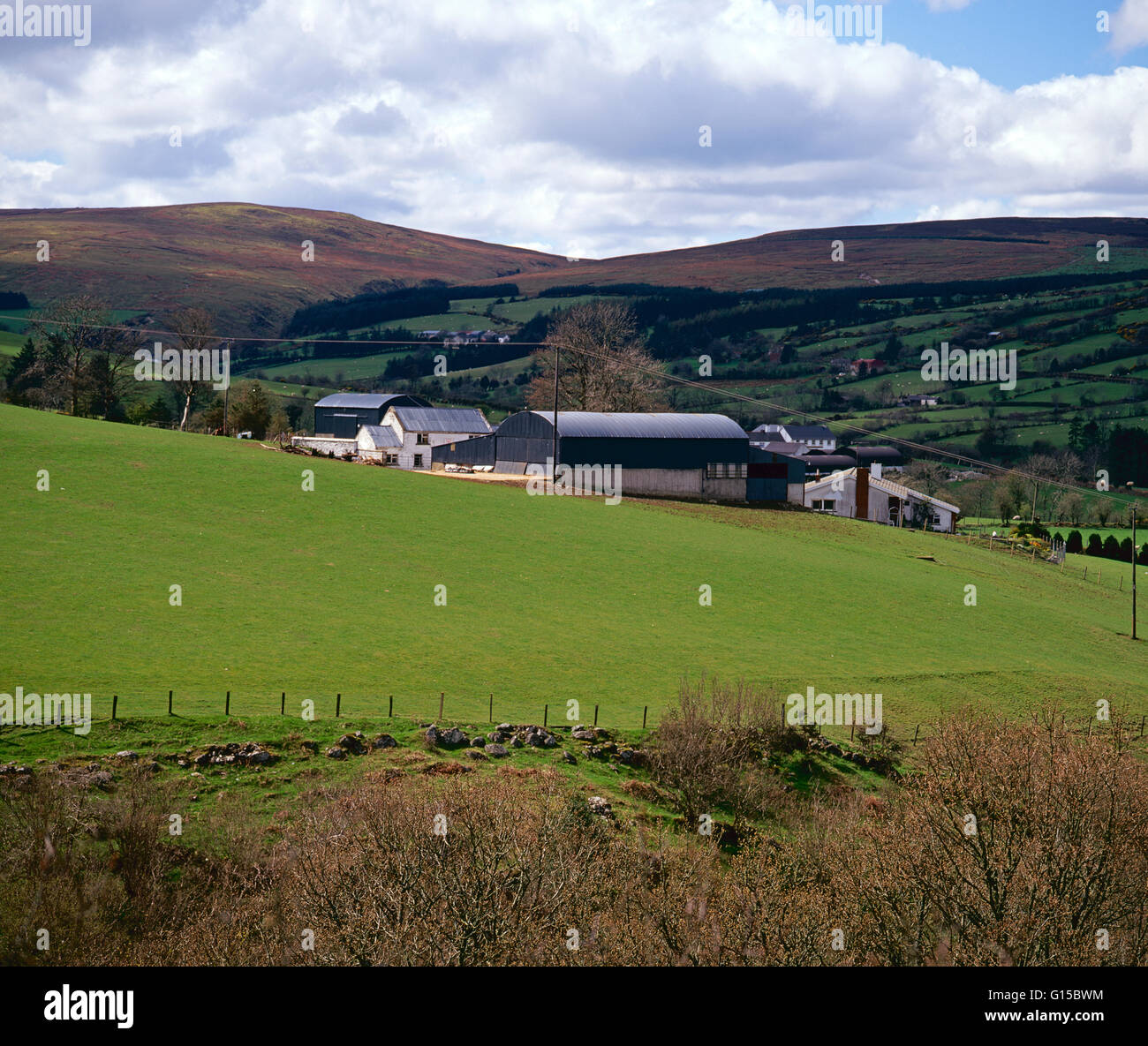 Bauernhof in der Sperrin Mountains, Grafschaft Tyrone, Nordirland Stockfoto