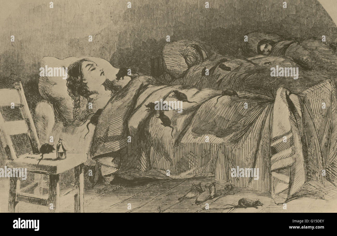 Kupferstich von Harpers Weekly (1860) zeigt Bedingungen im Bellevue Hospital in New York. Museum der Stadt New York. Stockfoto