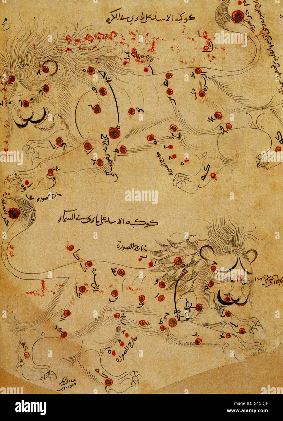 Leo Sternbild, wie es scheint im "Buch der Fixsterne," von der persische Astronom Abd al-Rahman al-Sufi in 964 geschrieben. Das Sternbild ist in zwei Ansichten, wie von der Erde aus gesehen, und auf der Außenseite ein Himmelsglobus gesehen dargestellt. Leo ist Stockfoto