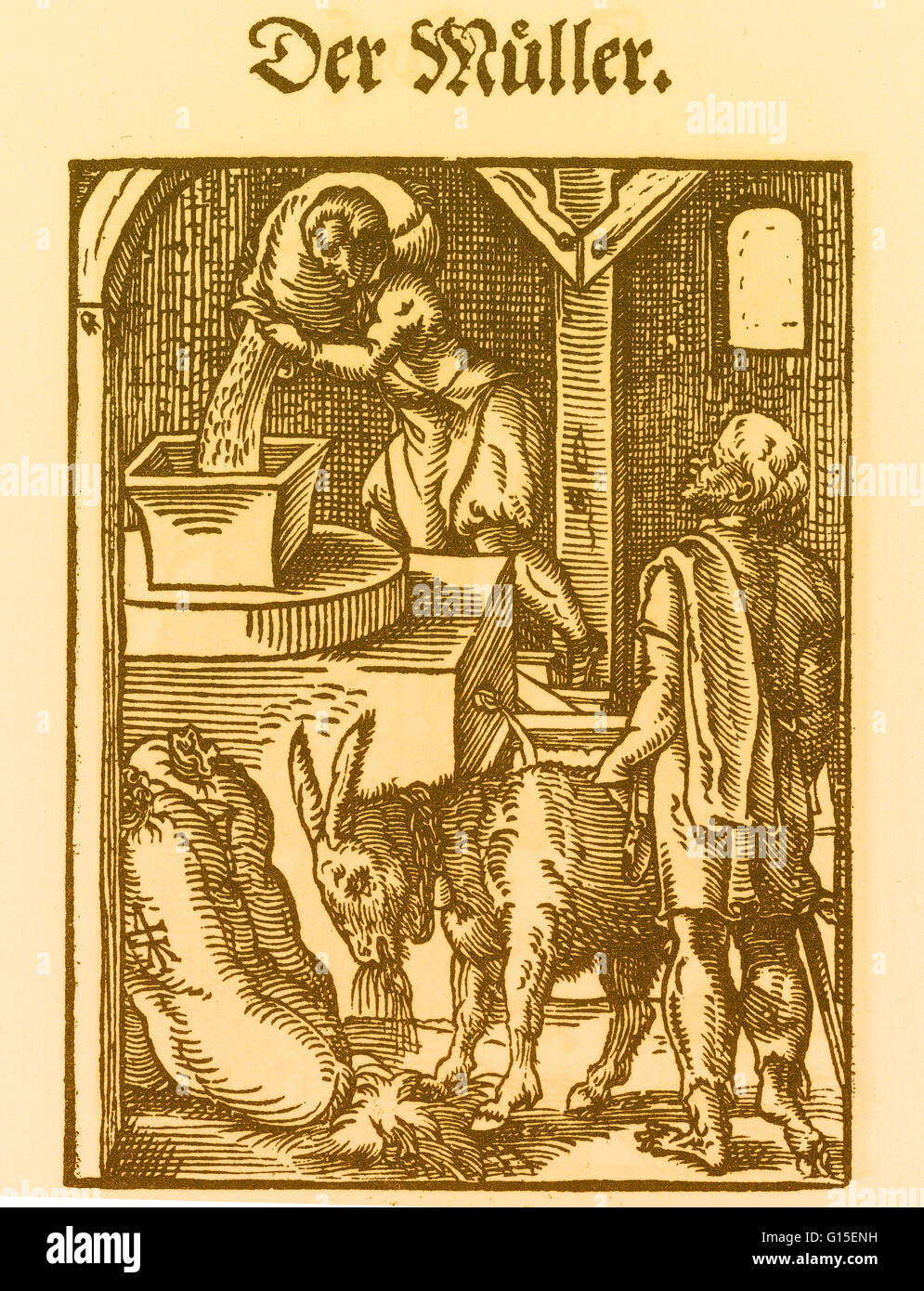 Der Müller gießt das Korn brachte ihm zwischen die Mühlsteine und schleift es nicht zurückhalten, die Kleie; er Pfund auch Stockfisch und zerkleinert Kräuter. Ein Müller bezieht sich gewöhnlich auf eine Person, die eine Mühle, eine Maschine zum Mahlen von Getreide zu f Stockfoto