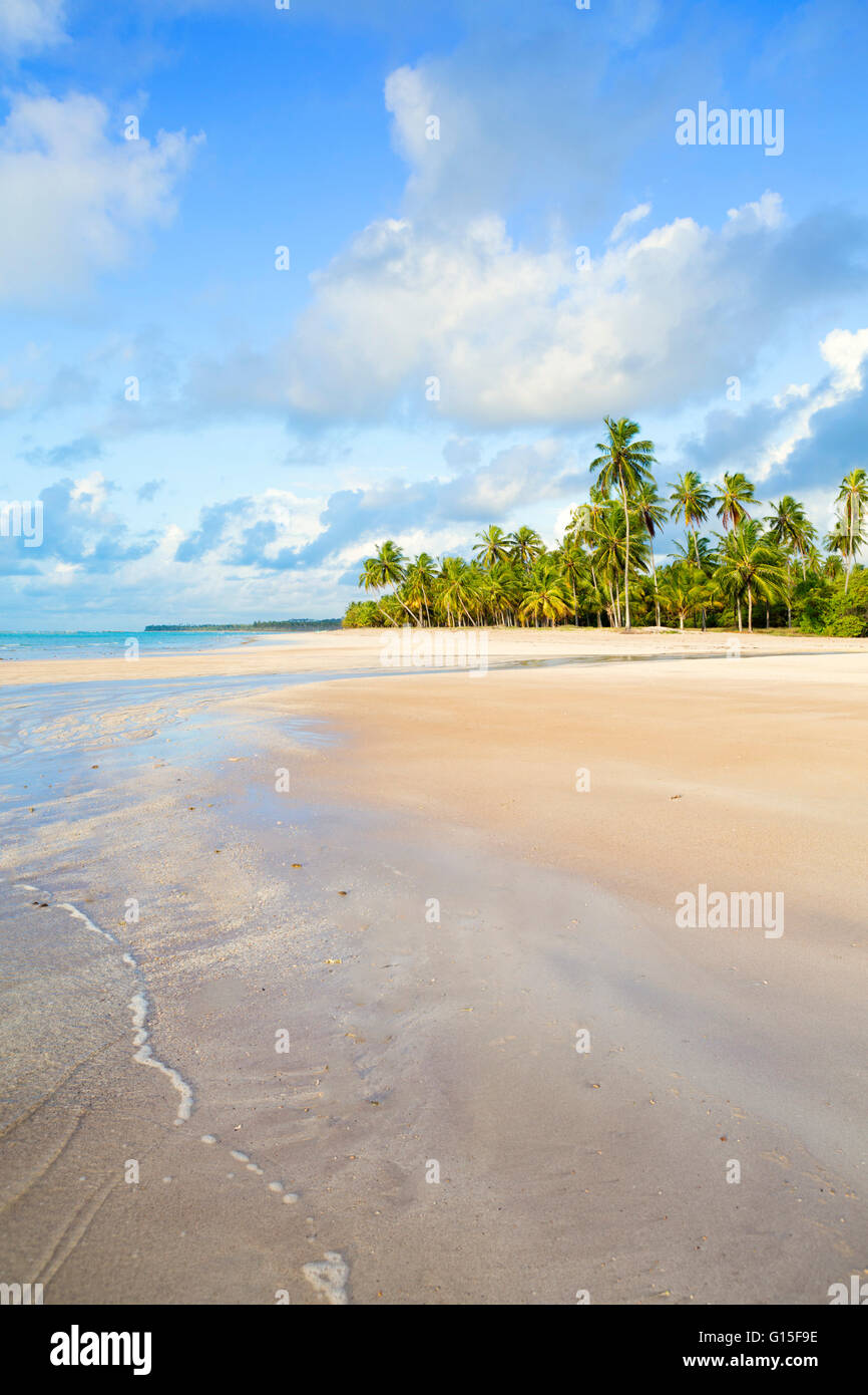 Verlassenen tropischen Strand, Bahia, Brasilien, Südamerika Stockfoto